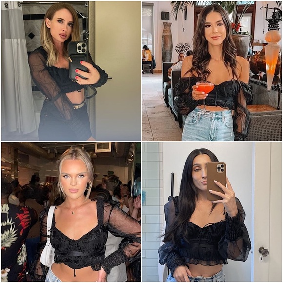 NEW LOVE & LEMONS Organza Puff Long Sleeve Ruffle Sweetheart Neck Crop Top XS - Picture 9 of 16